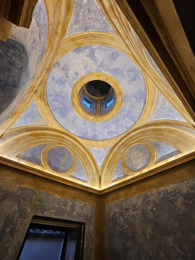 Doremisia تاركوينيا المظهر الخارجي الصورة