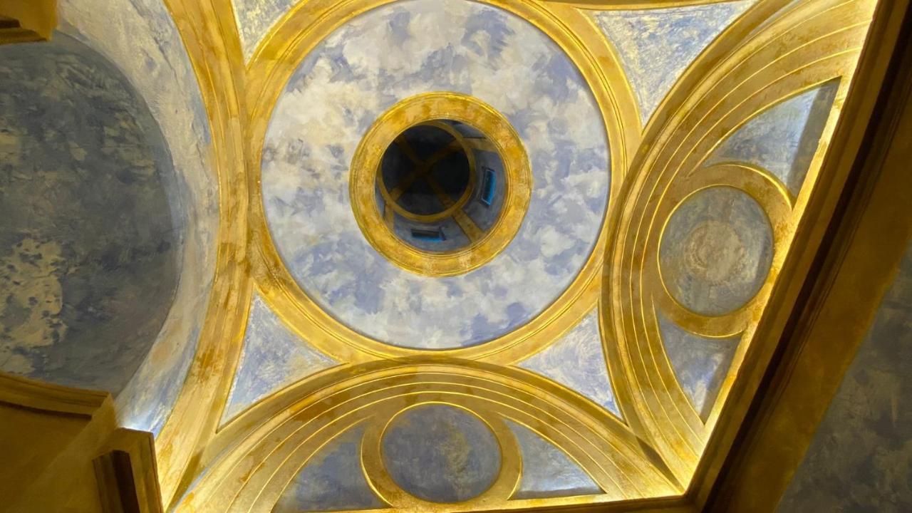 Doremisia تاركوينيا المظهر الخارجي الصورة